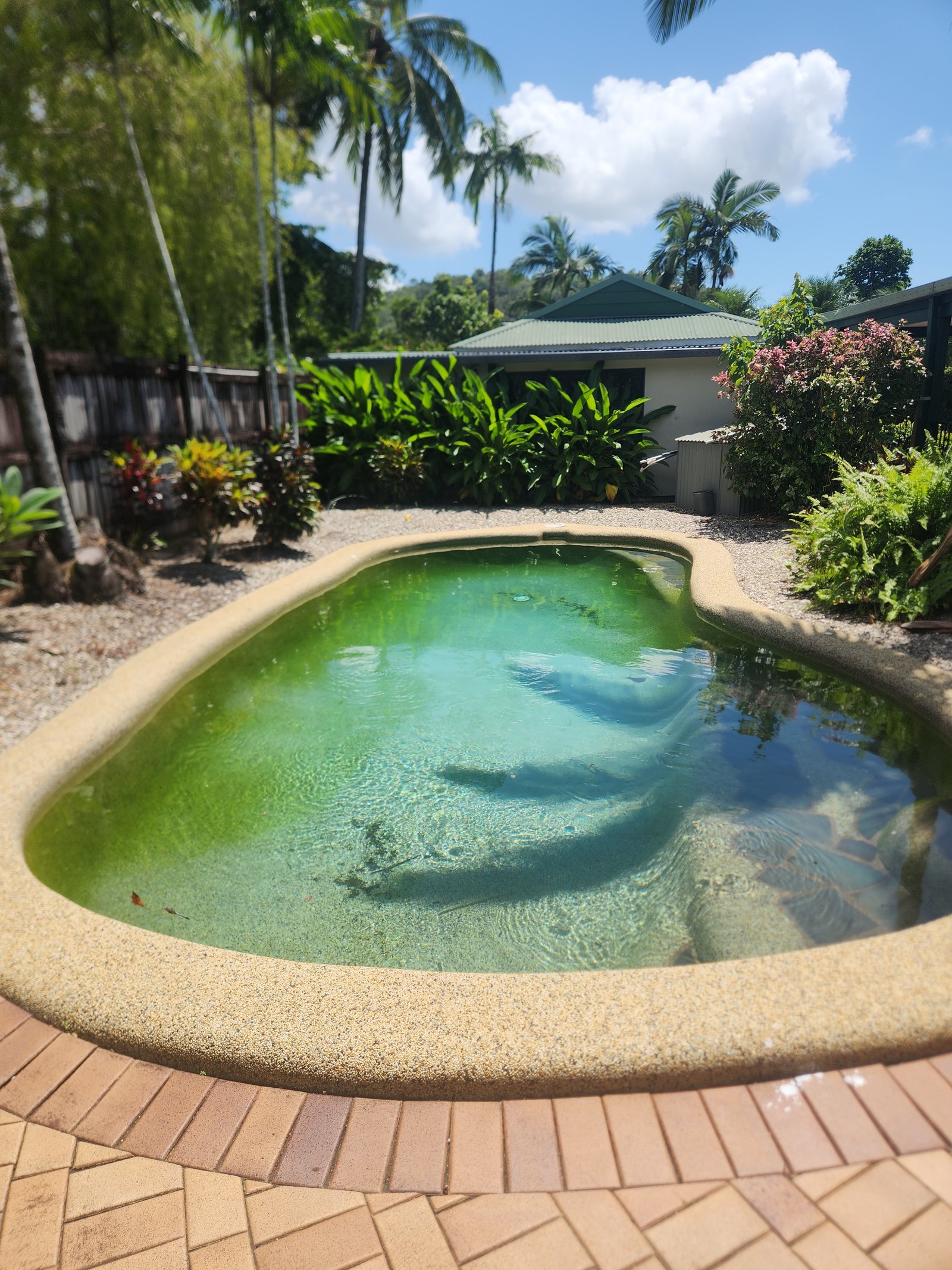 Robotic Cleaner with Swim Icon